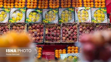 عرضه سبدی میوه عید در میادین تره بار عرضه سبدی میوه عید در میادین تره بار